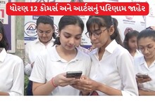 ધોરણ 12 સામાન્ય પ્રવાહનું પરિણામ 73.27 ટકા, ગત વર્ષ કરતા 13% પરિણામ ઓછું