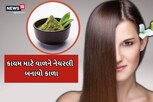 સફેદ વાળને એક જ કલાકમાં કાળા બનાવી દેશે આ આયુર્વેદિક પેસ્ટ