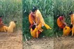 VIDEO: બિહારમાં સરકારી સ્કૂલની બે મહિલા ટીચર વચ્ચે થઈ મારામારી, વાળ ખેંચી ગડદાપાટુ કર્યા