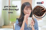 Health Tips: દૂધમાં આ મસાલો મિક્સ કરીને પીવાના છે ગજબ ફાયદા