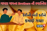 નાનકડા ગામના ખેડૂત ભાઈઓએ ઉગાડી દુનિયાની સૌથી મોંઘી કેરી! રાતોરાત બની ગયા લખપતિ