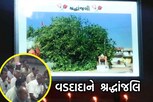 આ ગામમાં વાવાઝોડામાં પડી ગયેલા વડના વૃક્ષ માટે શોક સભા યોજાઈ, આવી રીતે આપી શ્રદ્ધાંજલિ