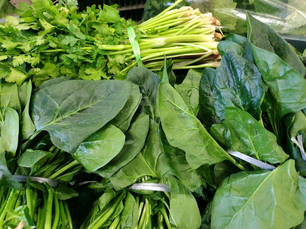 Follow these tips and store green vegetables - લીલા શાકભાજી લાંબા સમય સુધી ફ્રેશ રાખવા ફોલો કરો આ ટિપ્સ | - News18 ગુજરાતી
