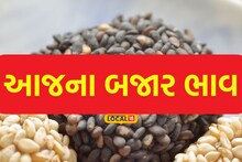 Amreli: સાવરકુંડલા માર્કેટ યાર્ડ તલ અને મગફળીની આવકથી છલોછલ, એક મણના આટલા ભાવ બોલાયા