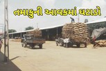 ઉનાવા માર્કેટ યાર્ડમાં તમાકુની આવકમાં ઘટાડો, ખેડૂતોને મણના આટલા ભાવ મળ્યા