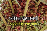આ રીતે કચ્છના ખેડૂતોએ કરી વરસાદની આગાહી