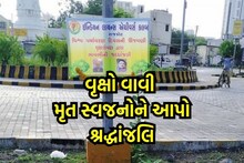 Rajkot : દરરોજ એક વૃક્ષ વાવે છે આ શિક્ષક, કોરોનામાં ગુમાવેલા પરિજનને શ્રદ્ધાંજલિ રૂપે વૃક્ષ વાવવા કરે છે અપીલ