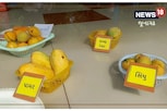 અહીં છે 65થી વઘારે કેરીની જાત, જુઓ વીડિયો