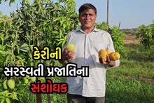 Kutch: ખેડૂતે વાડીને બનાવી પ્રયોગશાળા, સોનપરી કેરીમાં કચ્છની દેશી કેરી મિક્સ કરી વિકસાવી નવી પ્રજાતિ