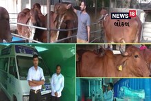 Amreli News: ગીર ગાયની મૂળ ઓલાદના સંવર્ધન માટે અમરેલીમાં IVF વાનનું લોકાર્પણ કરવામાં આવ્યું