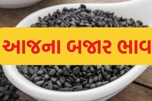 Amreli: સાવરકુંડલા માર્કેટિંગ યાર્ડમાં તલની બંપર આવક, જાણો કેટલો બોલાયો ભાવ