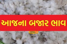Amreli: સાવરકુંડલા માર્કેટિંગ યાર્ડમાં તલનો વિક્રમજનક ભાવ બોલાયો, કપાસની થઈ સારી આવક