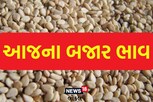 સાવરકુંડલા માર્કેટિંગ યાર્ડમાં તલનો વિક્રમજનક ભાવ બોલાયો