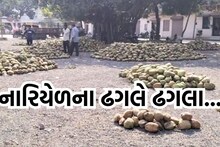 Bhavnagar: લીલા નારિયેળથી ઉભરાયું મહુવા માર્કેટિંગ યાર્ડ, જાણો કેટલા બોલાયા ભાવ