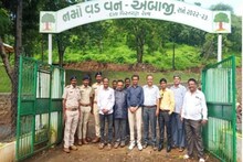 બનાસકાંઠા જિલ્લામાં સતત વધી રહેલા રણ વિસ્તારને અટકાવવા વન વિભાગની અનોખી પહેલી, નમો વડ વન વિકસાવાયા