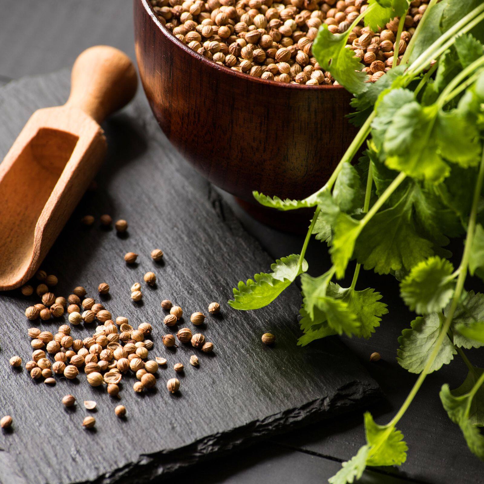 Five Great benefits of coriander જાણો કોથમીર ખાવાથી હેલ્થને શું ફાયદો