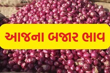 Bhavnagar: મહુવા માર્કેટિંગ યાર્ડમાં લાલ ડુંગળીના થયા ઢગલે ઢગલા, એક મણના આટલા રહ્યા ભાવ