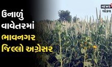 સૌરાષ્ટ્રમાં ઉનાળું બાજરીની વાવણીમાં ભાવનગર પ્રથમ ક્રમે