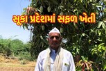 75 વર્ષીય ખેડૂતે સૂકા વિસ્તારમાં કરી સફળ બાગાયતી ખેતી, જુઓ Video