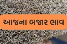 Jamnagar: હાપા માર્કેટીંગ યાર્ડમાં નવા જીરુંનો અધધધ ભાવ બોલાયો, ખેડૂતો ખુશખુશાલ 