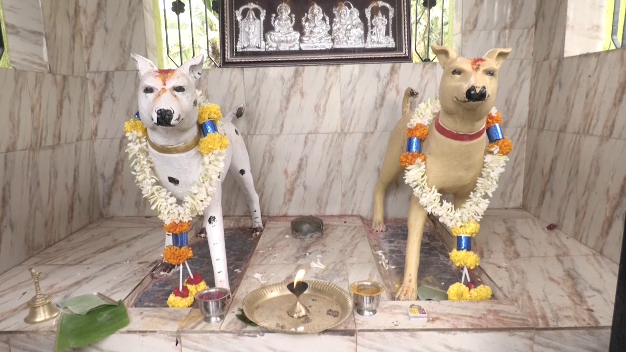  શ્વાનને વીરમસ્તિ કેમ્પમ્માના આરાધ્ય માનવામાં આવે છે. અગ્રહારા વલાગેરેહલ્લી ગામના મૂળ નિવાસીઓનું માનવું છે કે, જો લોકો અહીં શ્વાનની મૂર્તિની પૂજા કરે અને પોતાના કામને પુરુ કરતી વખતે નિશ્ચિત સમયે તેનું ધ્યાન રાખે તો તેમની સમસ્યાઓ ખતમ થઈ જાય છે.