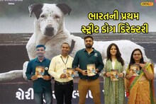 The country's first street dog directory has been launched in this city of Gujarat, such information will be available