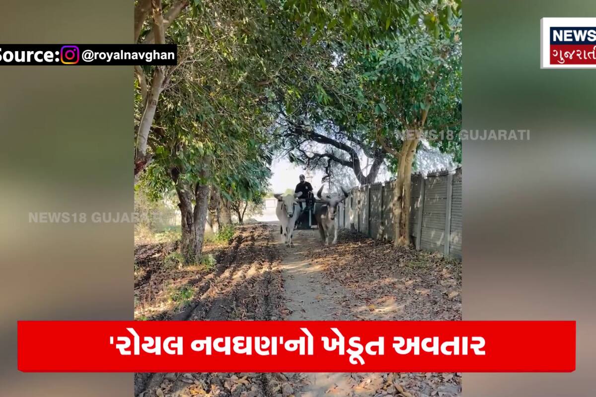 Latest Gujarati Video (લેટેસ્ટ ગુજરાતી વિડિયો)- Viral Video in Gujarati,  Watch Viral Video from Gujarat and World