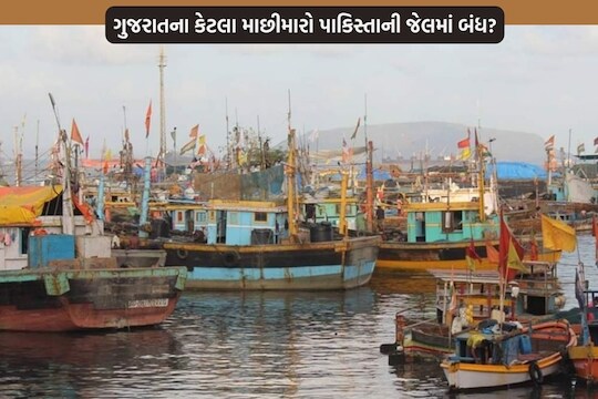 મત્સ્ય ઉદ્યોગ મંત્રીએ રાજ્યના 133 માછીમારો પાકિસ્તાની જેલમાં હોવાનું જણાવ્યું છે.