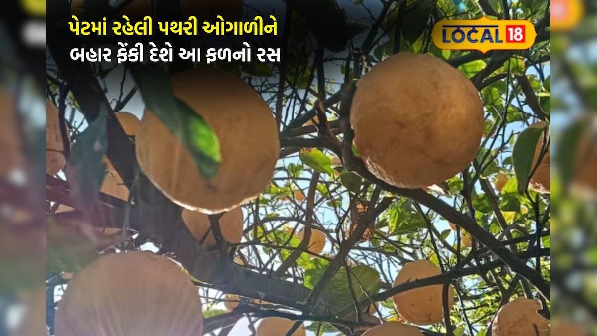 પેટમાં રહેલી પથરી ઓગાળીને બહાર ફેંકી દેશે આ ફળનો રસ, ઈમ્યુનિટી વધારવા ...