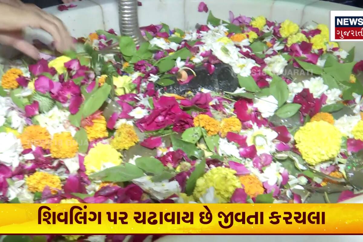 Latest Gujarati Video (લેટેસ્ટ ગુજરાતી વિડિયો)- Viral Video in Gujarati,  Watch Viral Video from Gujarat and World