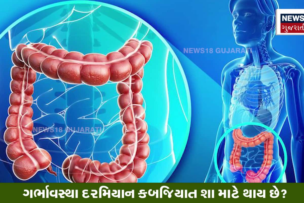 Latest Gujarati Video (લેટેસ્ટ ગુજરાતી વિડિયો)- Viral Video in Gujarati,  Watch Viral Video from Gujarat and World