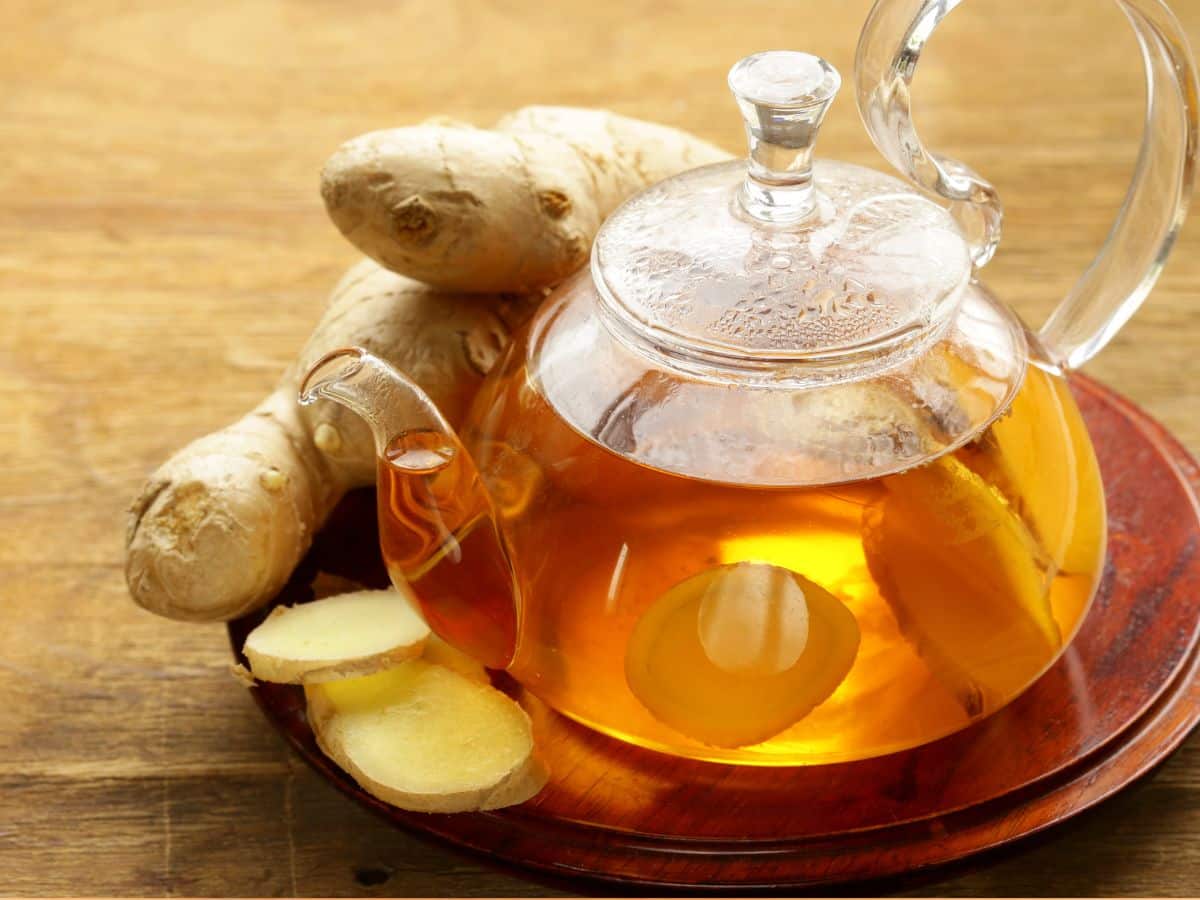 benefits of drinking ginger tea before bed Health દવાઓનો કોમ્બો પેક