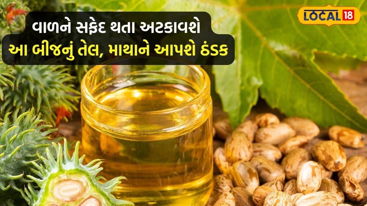 ઘડપણ ભલે આવે, પરંતુ વાળને સફેદ નહીં થવા દે આ બીજનું તેલ, પાઈલ્સ, મરડા ...
