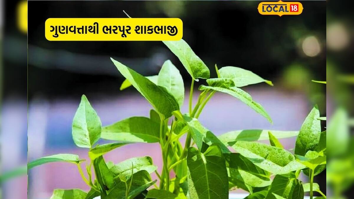 હેલ્થ ટિપ્સ: કલમીના શાકનું સેવન હૃદયરોગમાં પણ રાહત આપે છે-Consumption ...