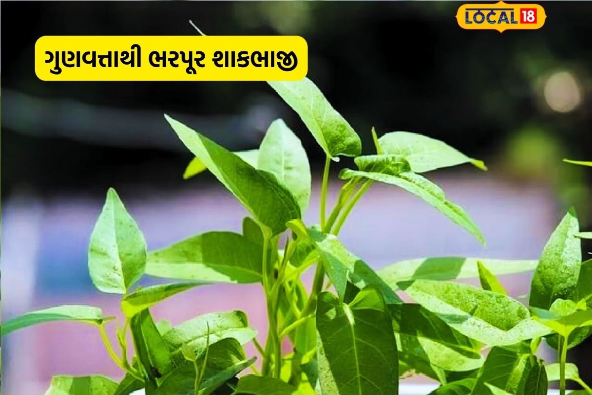 Tree Kalmi હેલ્થ ટિપ્સ: કલમીના શાકનું સેવન હૃદયરોગમાં પણ રાહત આપે છે-Consumption ...