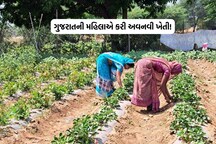 ખેડૂત મહિલાઓ પણ પાછી પડે તેમ નથી, ગુજરાતની જમીનમાં કરી બતાવી અવનવી ખેતી!