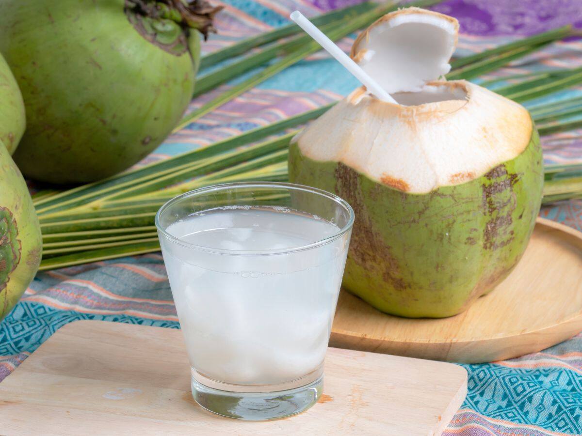 best way to drink coconut water - નાળિયેર પાણી આ રીતે પીવું સ્વાથ્ય માટે  ખતરનાક, 90% લોકો કરે છે ભૂલ | - News18 Gujarati