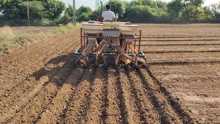 ચોમાસું વાવેતર શરૂ - Monsoon planting begins – News18 ગુજરાતી