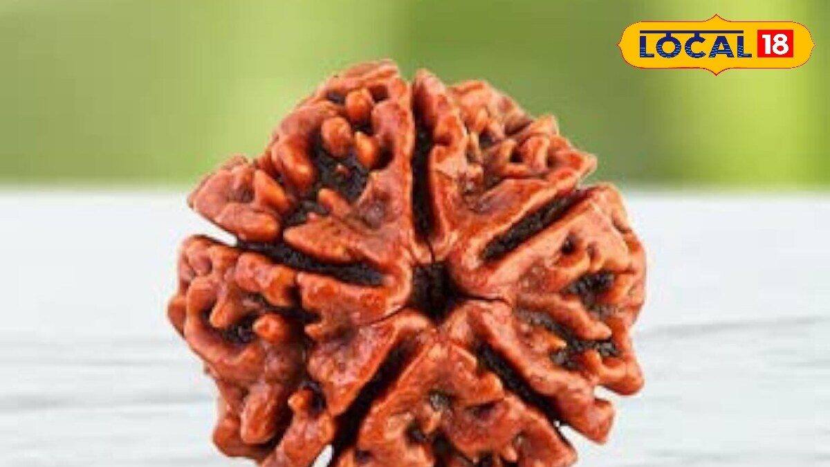 Benefits of Rudraksha: કોણે રુદ્રાક્ષને ધારણ કરવો જોઈએ? પહેર્યા પછી ...