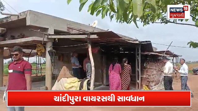 સાવધાન : ઉત્તર ગુજરાતમાં ખૂંખાર વાયરસ સાવધાન : ઉત્તર ગુજરાતમાં ખૂંખાર વાયરસ