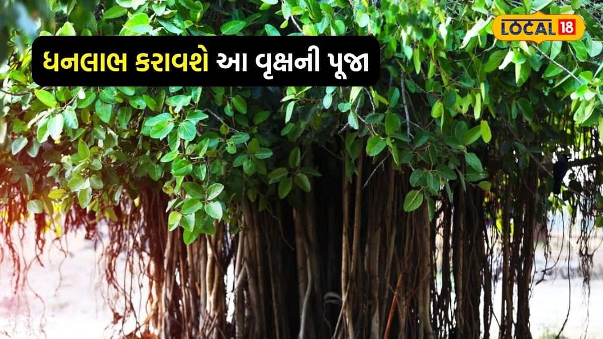 આ વૃક્ષમાં છે ત્રિદેવનો વાસ, આવી રીતે પૂજા કરશો તો થશે ધનવર્ષા-Astro ...