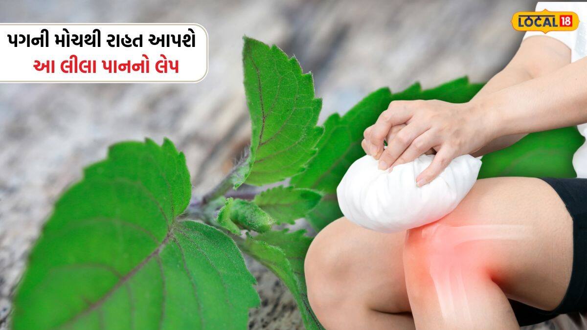 Sprained Leave પગમાં મચકોડ હોય કે હાડકાંનો દુખાવો, આ છોડના પાનનો લેપ છે રામબાણ ઈલાજ ...