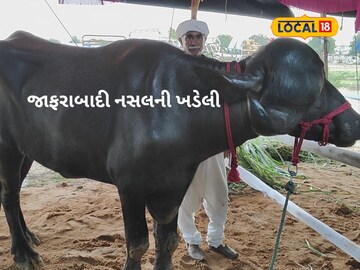 જાફરાબાદી