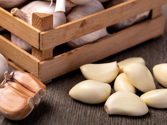 Protection in diabetes: The number of diabetic patients in India is very high. If a person is struggling with this disease then he should consume raw garlic. Garlic contains a compound called allicin, which works to control blood sugar. Protection in diabetes: The number of diabetic patients in India is very high. If a person is struggling with this disease then he should consume raw garlic. Garlic contains a compound called allicin, which works to control blood sugar.