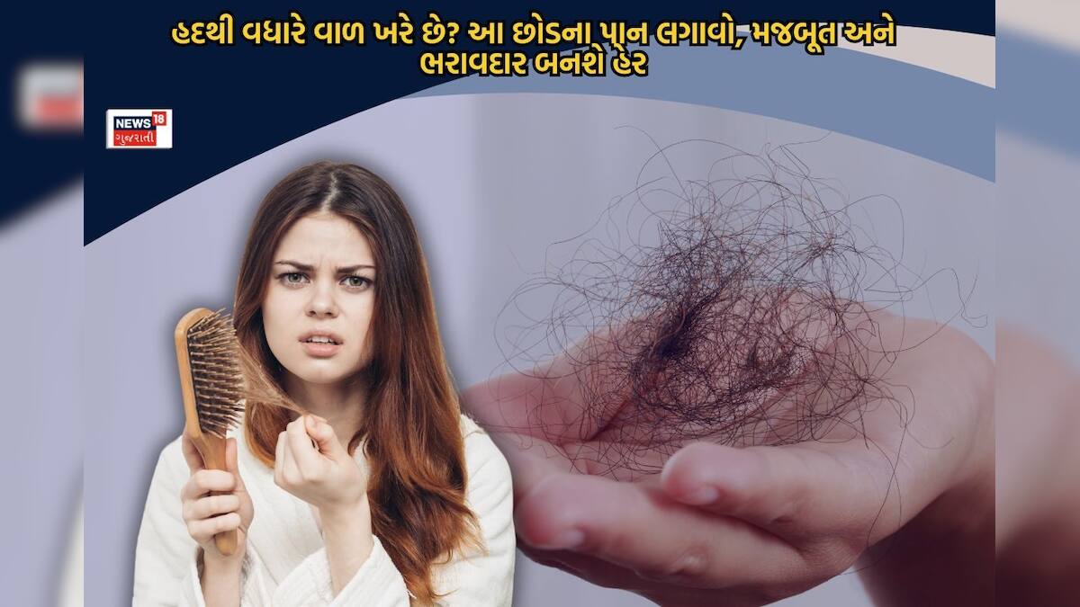 ગુચ્છામાં ખરે છે વાળ? માથામાં લગાવો આ છોડના પાન, હેર ફોલ બંધ થઇ જશે