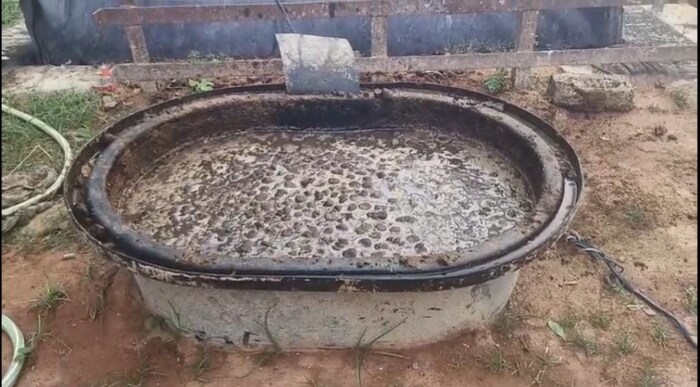 hardoi, hardoi news, biogas plant, woman made biogas plant, woman made biogas plant in house, hardoi woman made biogas plant in home, Homemade biogas plant, biogas for cooking, up news, hardoi, hardoi news, biogas plant, woman made biogas plant, woman made biogas plant in house, hardoi woman made biogas plant in home, Homemade biogas plant, biogas for cooking, up news,