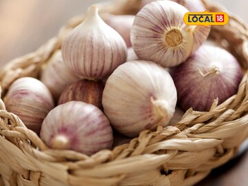 Garlic