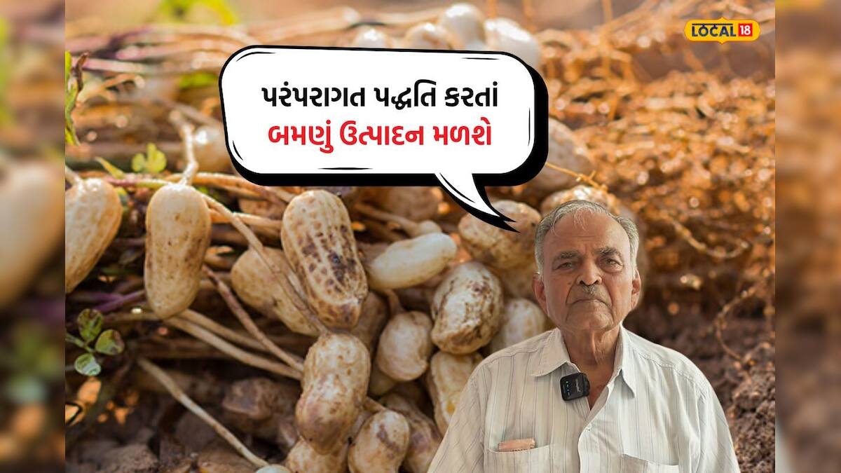 ચીન જઈને બોટાદના ખેડૂત હિરજી ભીંડરાડિયાએ શીખી મગફળી રોપવાની ખાસ રીત ...