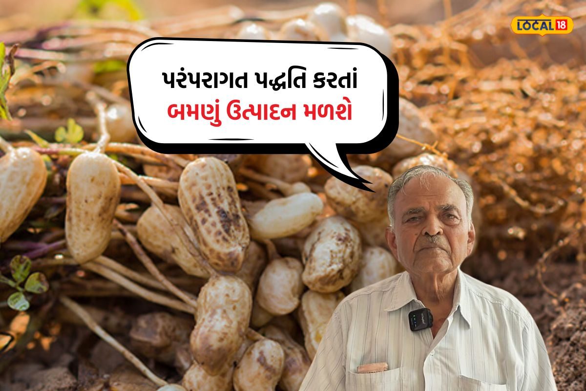 ચીન જઈને બોટાદના ખેડૂત હિરજી ભીંડરાડિયાએ શીખી મગફળી રોપવાની ખાસ રીત ...