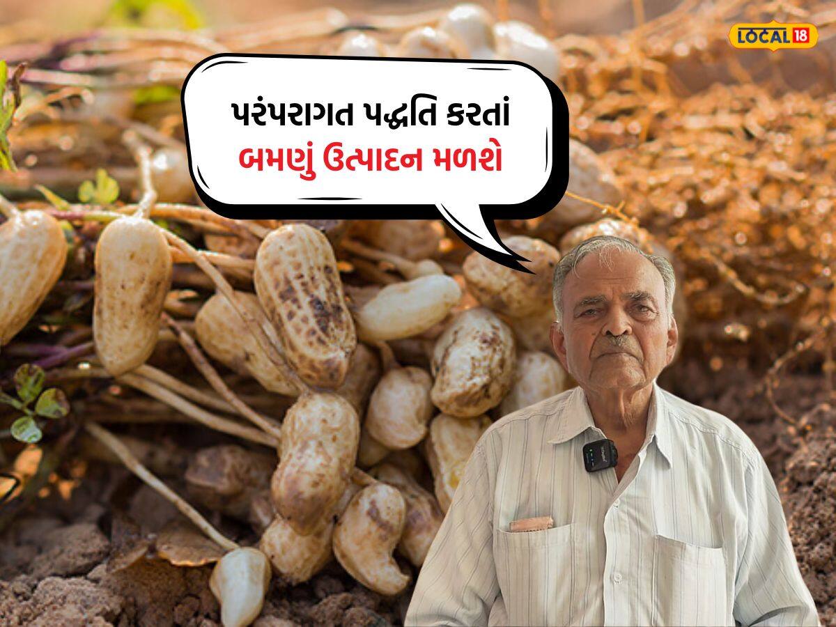 ચીન જઈને બોટાદના ખેડૂત હિરજી ભીંડરાડિયાએ શીખી મગફળી રોપવાની ખાસ રીત ...